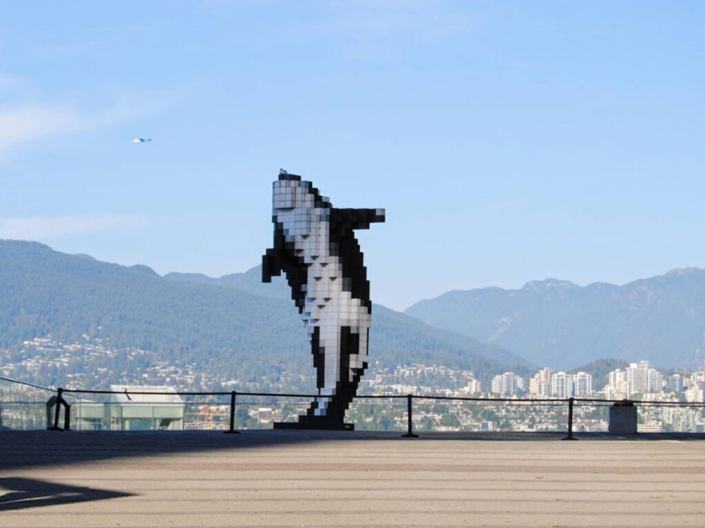 The art installation of Douglas Coupland’s Digital Orca