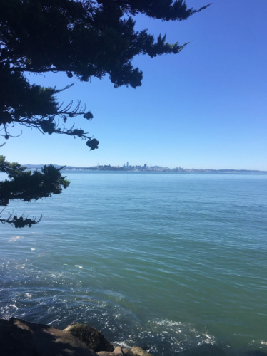 Clear blue sky over downtown San Francisco