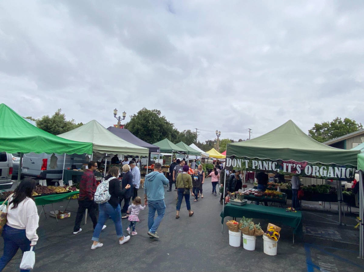 People wandering around the Downtown Temecula Farmers Market