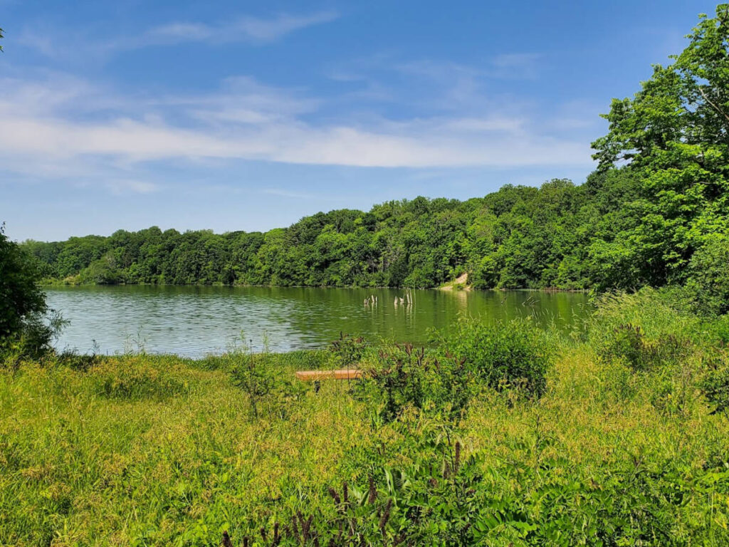 View of the lake surrounded by greenery at the Eagle Creek Park