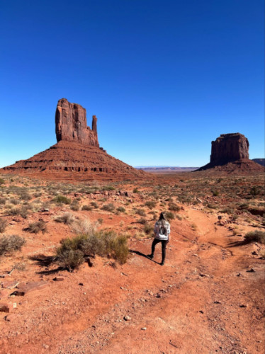 A person looking at the East Mitten and Merrick buttes from a distance