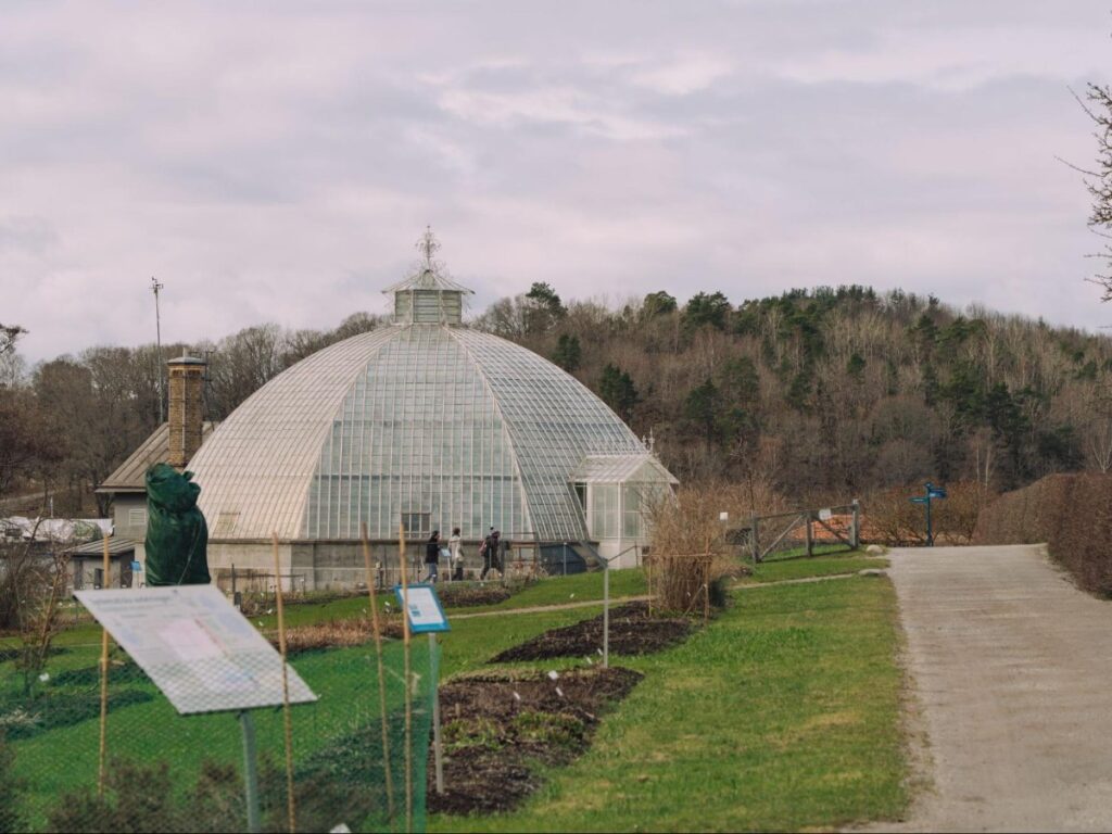 The way to Edvard Andersons’ greenhouse