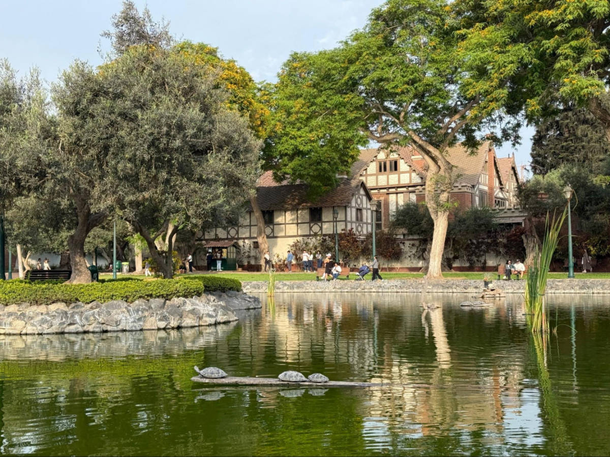 Serene view of the pond at El Olivar de San Isidro Park