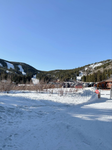 View of the lush greenery from the ski area at Eldora Mountain