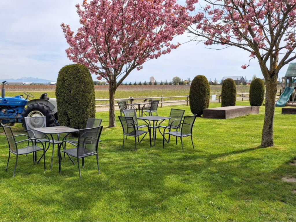 The seating area at a vast lawn with the views of the blooming trees and field in Emma Lea Farms