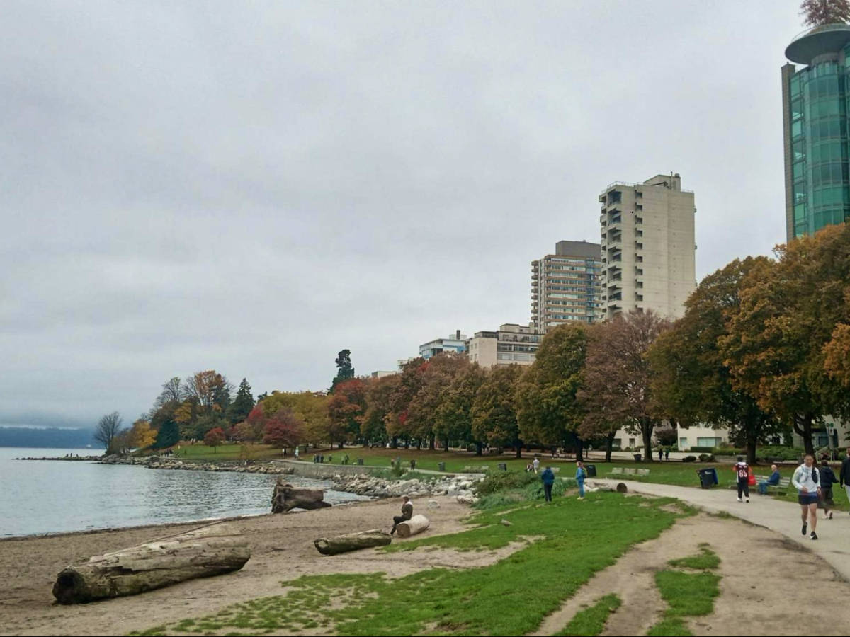 Panoramic view of the fall foliage in front of the skyline in English Bay