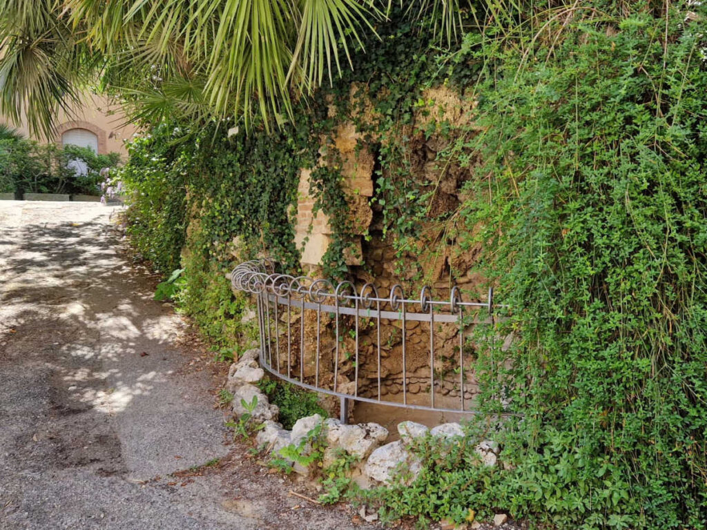 View of the hilly entrance with greenery around Orto Botanico