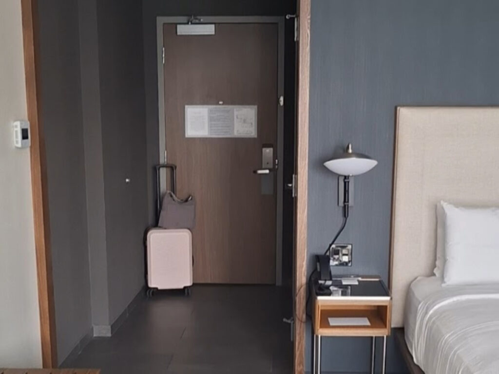 The entranceway of the king room