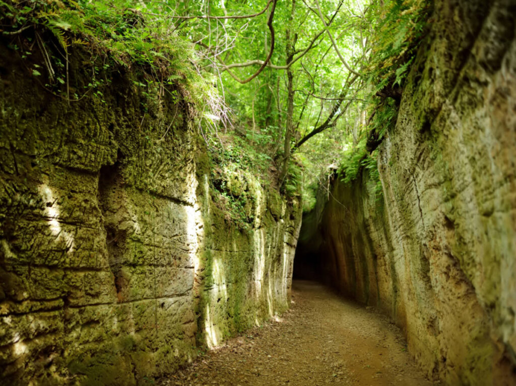 The greenery around Etruscan “Vie Cave” in Pitigliano