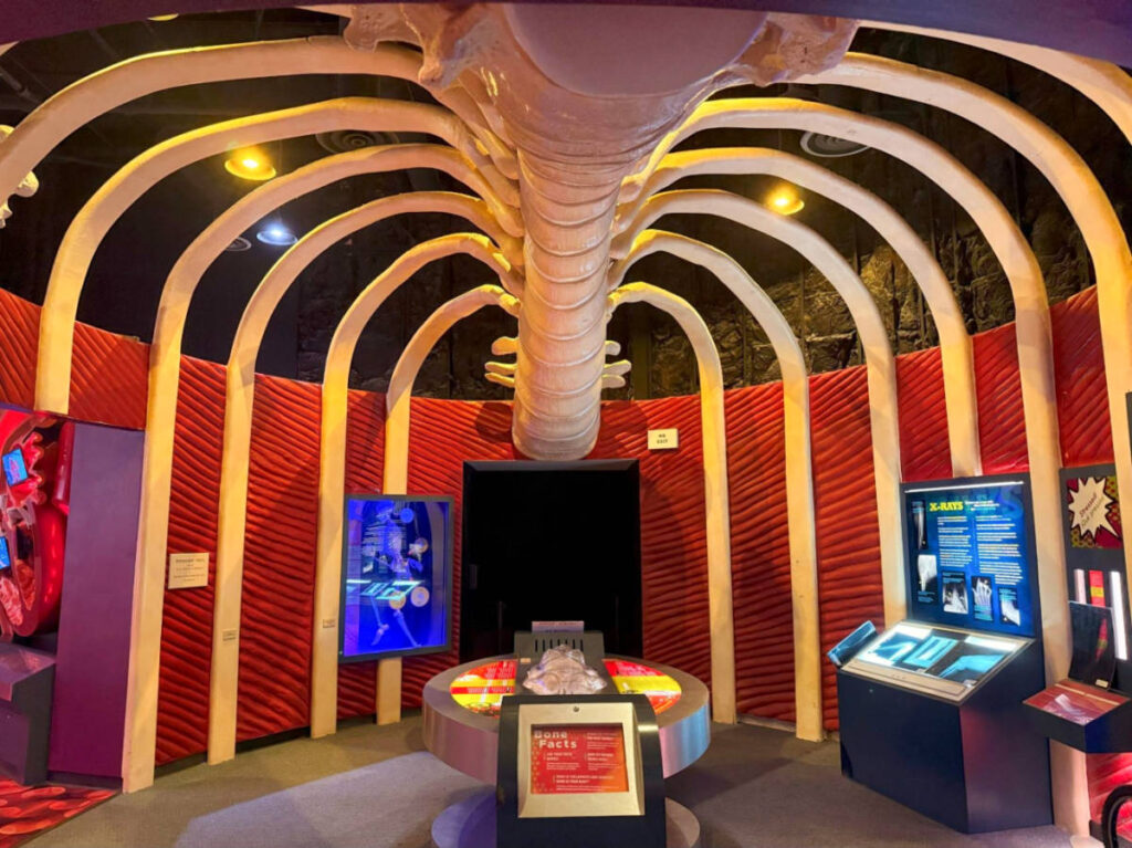 View of the displays at the interactive exhibits inside the Health Museum