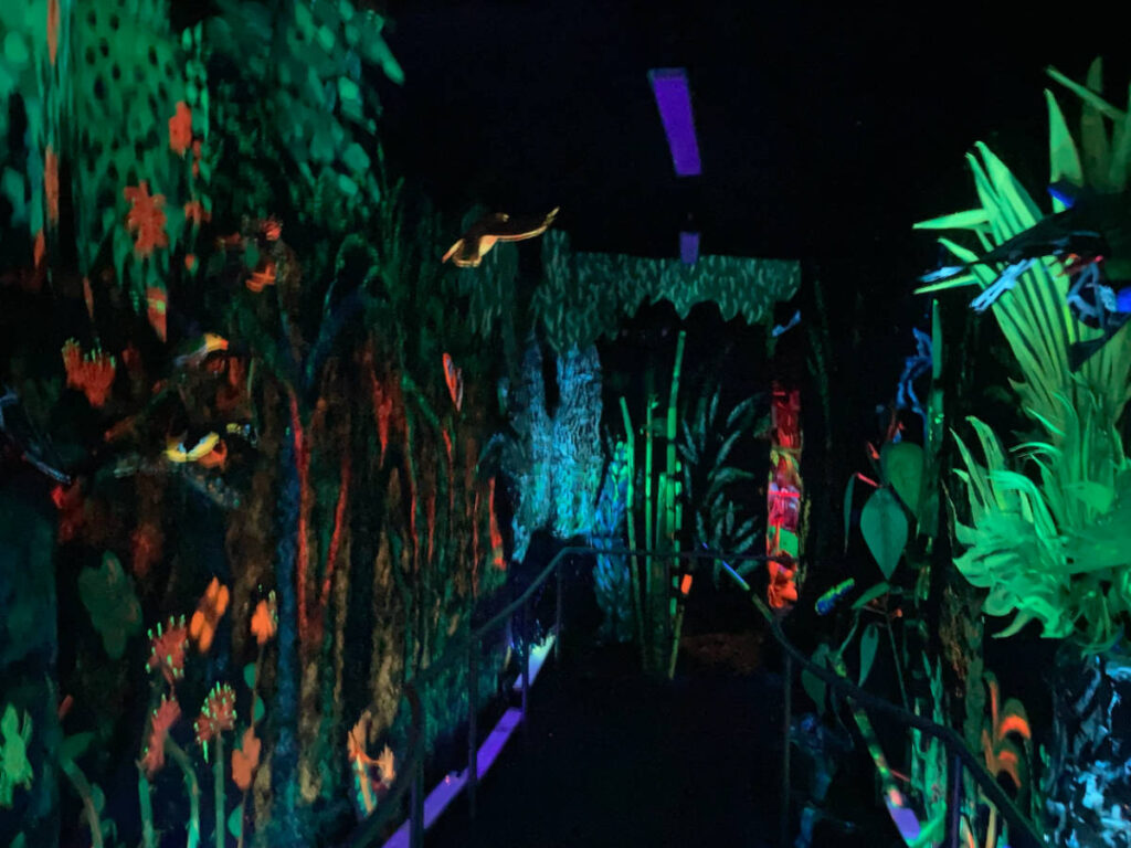View of the illuminated wall decor inside the exhibit of the Bishop Museum