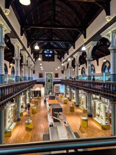 Overlooking view of the anthropological and surgical exhibits of the Hunterian Museum