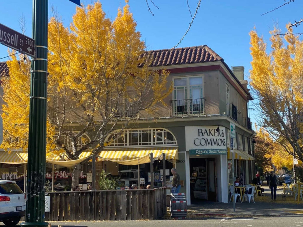 View of the yellow trees around the Baker & Commons