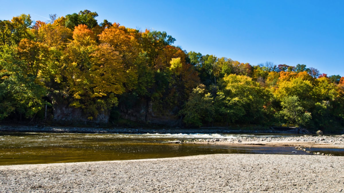 View of the Cedar River and sandbar surrounded by fall foliage