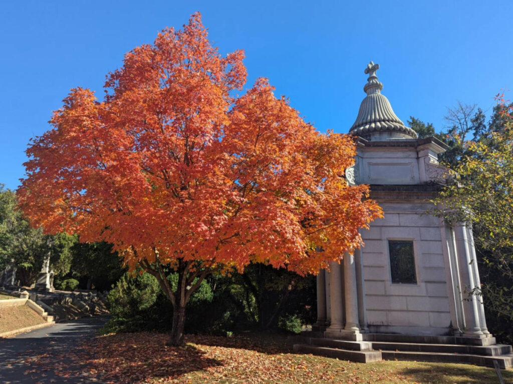 The fall foliage near the Lewis Ginter mausoleum