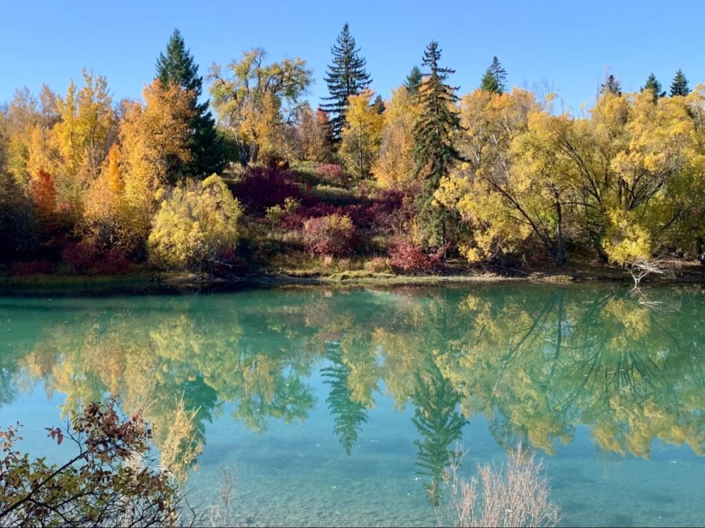 View of the Fall foliage in Whitefish Lake