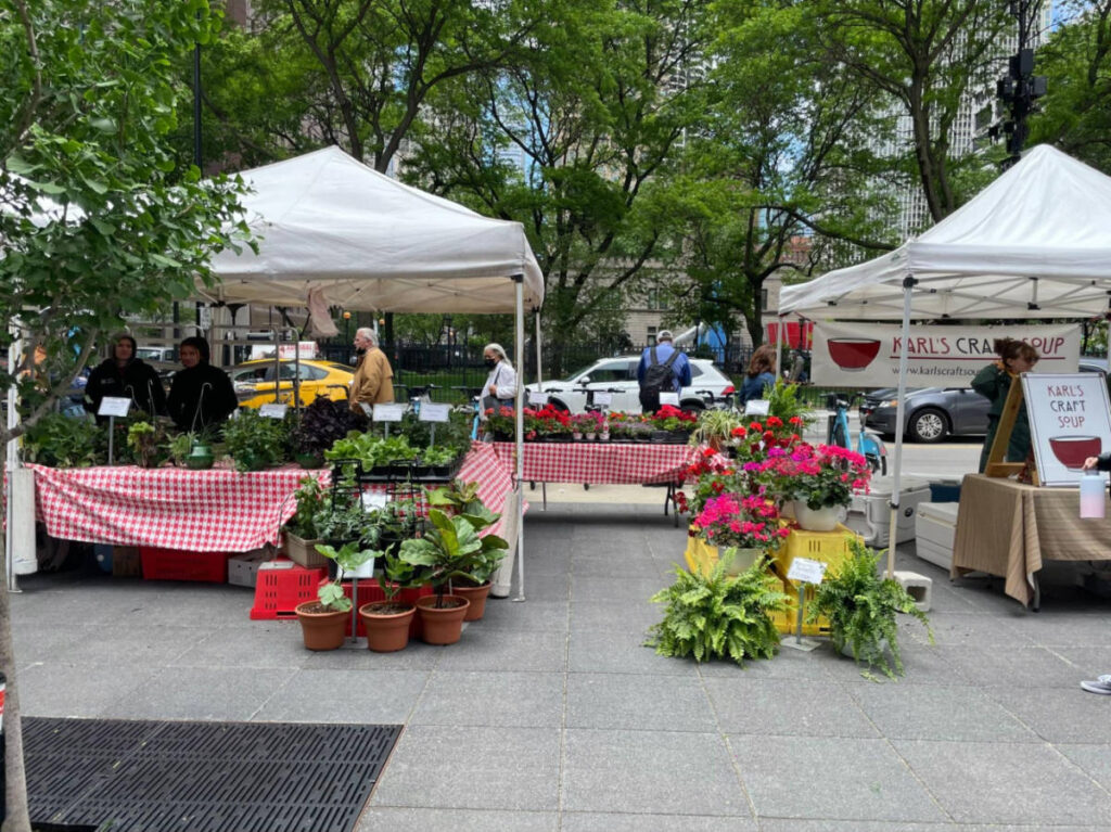 The stalls of the farmers market in front of the Museum of Contemporary Art
