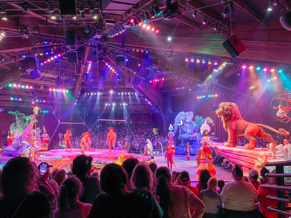 27 Best Things to Do at Animal Kingdom (By a Disney Expert)