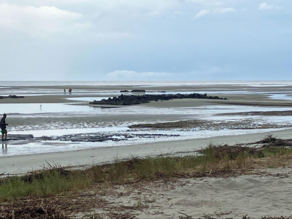 A guy leisurely walking along the beach at Fish Haul Beach Park