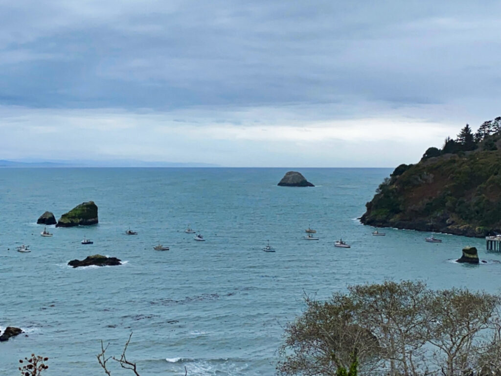 Aerial view of the fishing boats at the small harbor in Trinidad