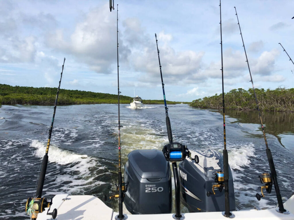 View of the fishing poles in the rod holders at the back of the boat
