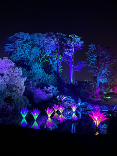 View of the Floating flowers at Lightscape