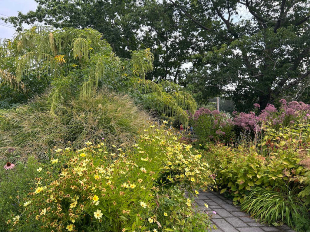 View of the blooming flowers and greenery around the Soest Garden