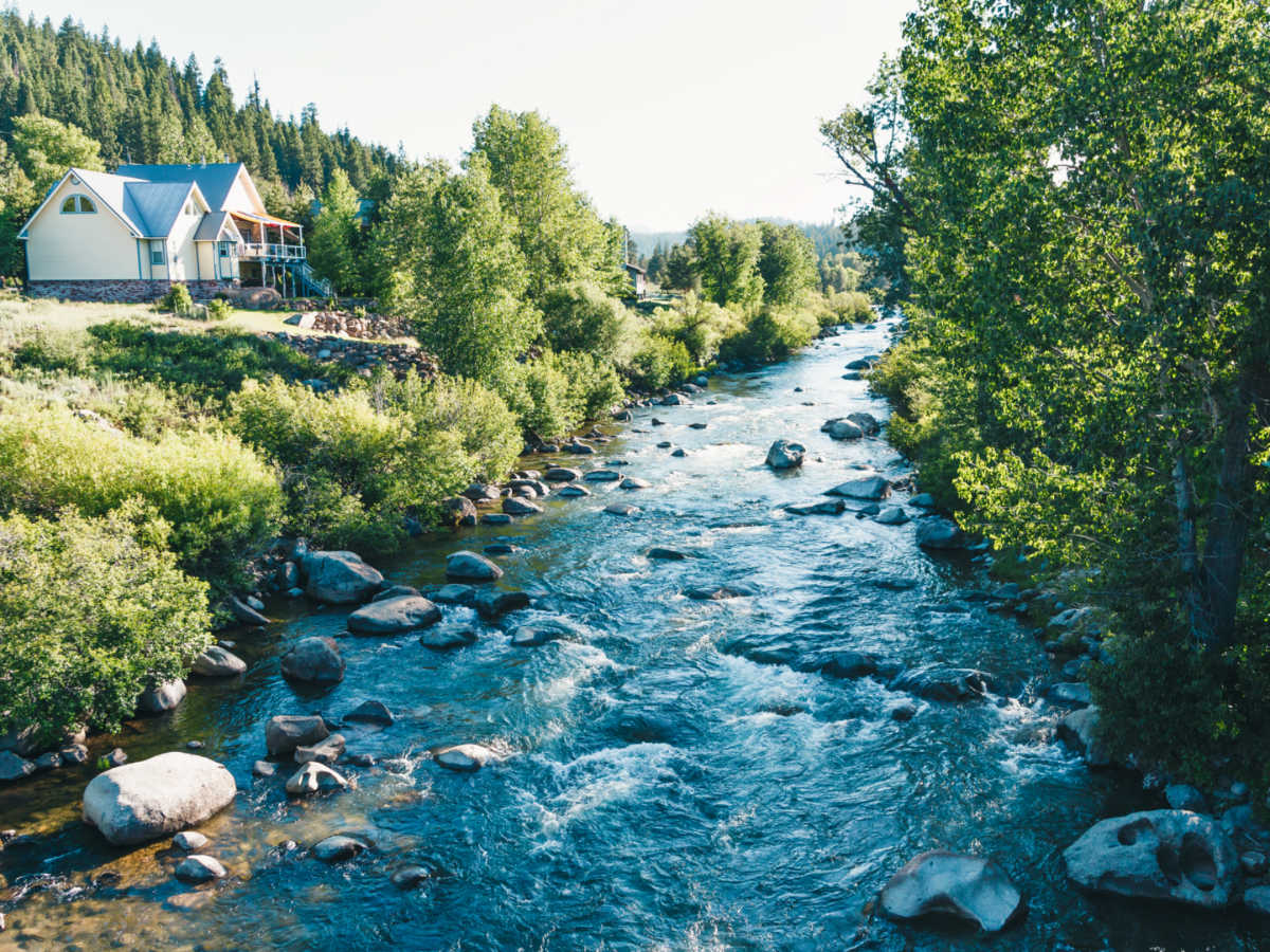 The Truckee River surrounded by greenery