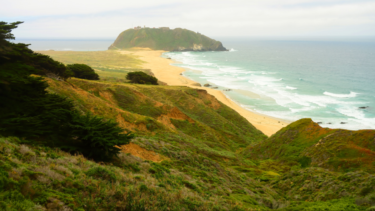 Foggy morning at the Big Sur coastline