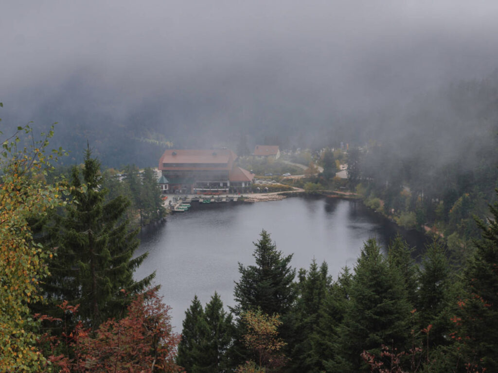 Overlooking view of the foggy lake surrounded by greenery