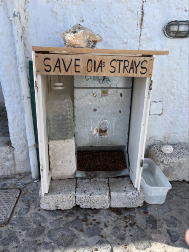 A small shelter with food and water for strays in Oia