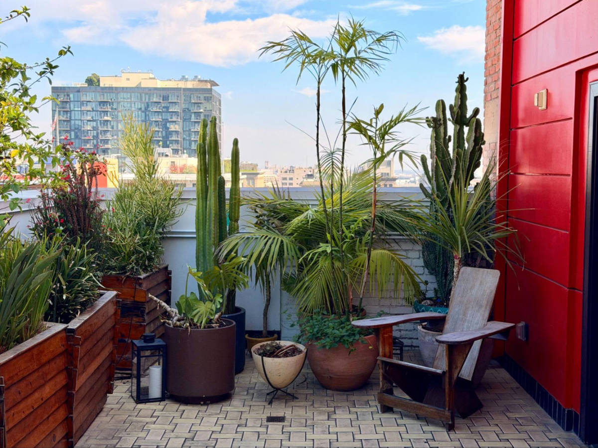 Overlooking skyline views from the rooftop with greenery around