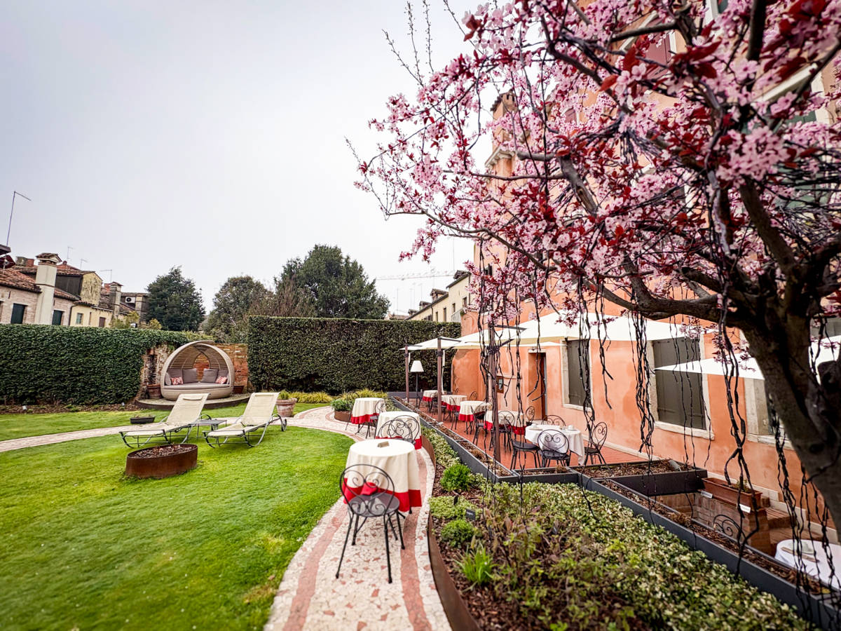 View of the pink blooming tree and the greenery around the garden of Hotel Olimpia