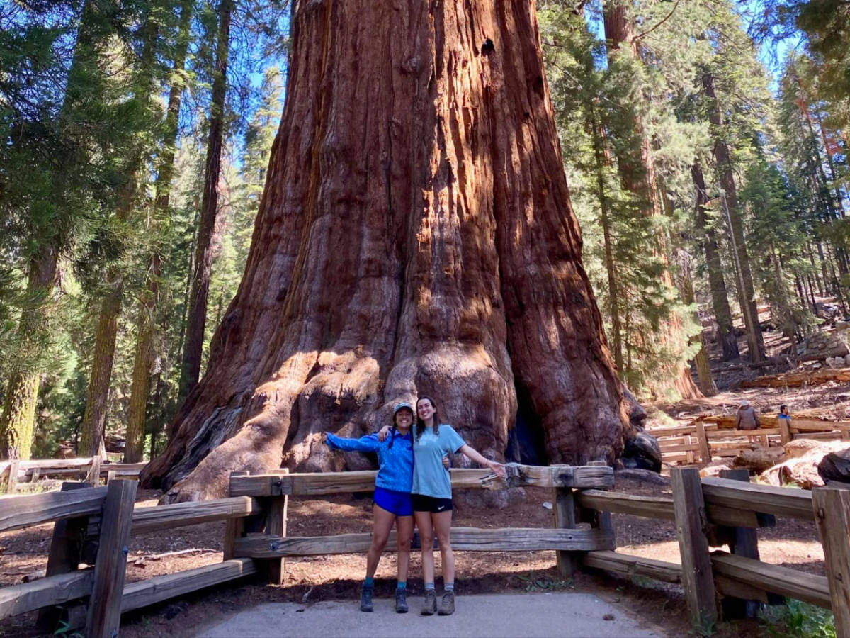 Writer Laura and her friend posing in front of General Sherman, the largest tree in the world