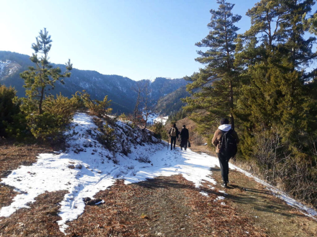 The hikers in a Georgian backcountry in winter