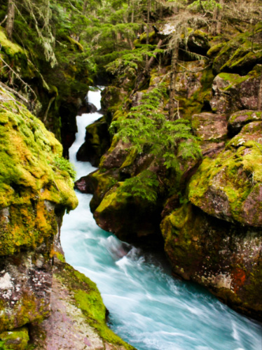 View of the Glacial melt gushing down between the mossy rocks