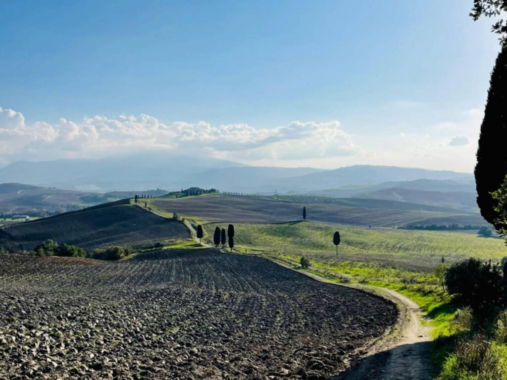 Panoramic view of the greenery in Gladiator’s path