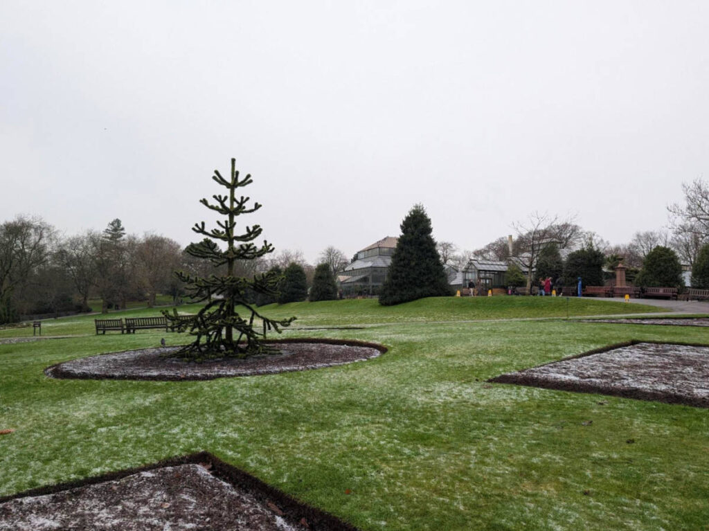 View at the Glasgow Botanic Gardens during a gloomy morning