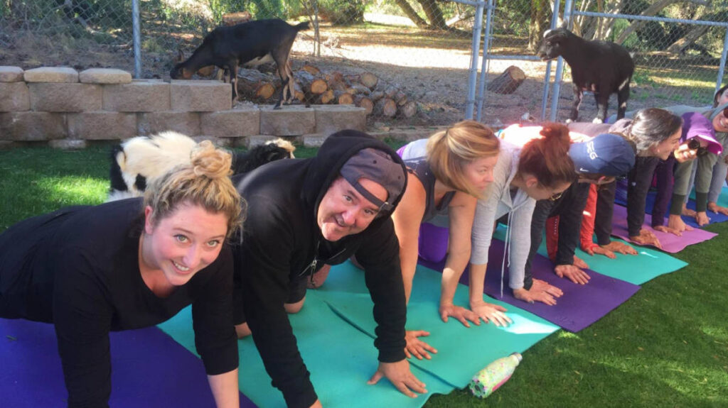 The author, Jess Levy with her dad doing yoga in San Marcos