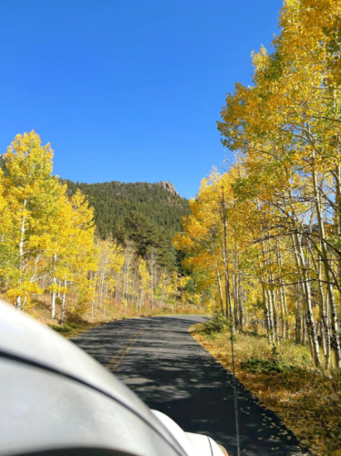 View of the golden foliage from the car in Golden Gate Canyon State Park