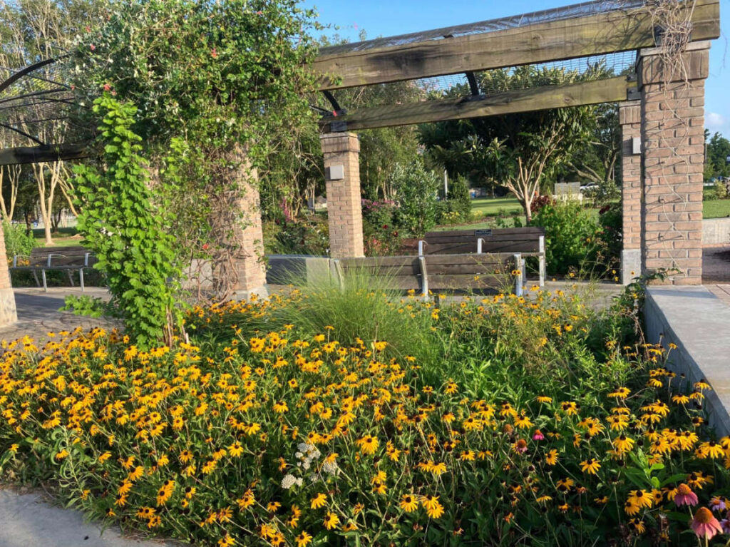 Colorful flowers at the garden in Goodwood Library