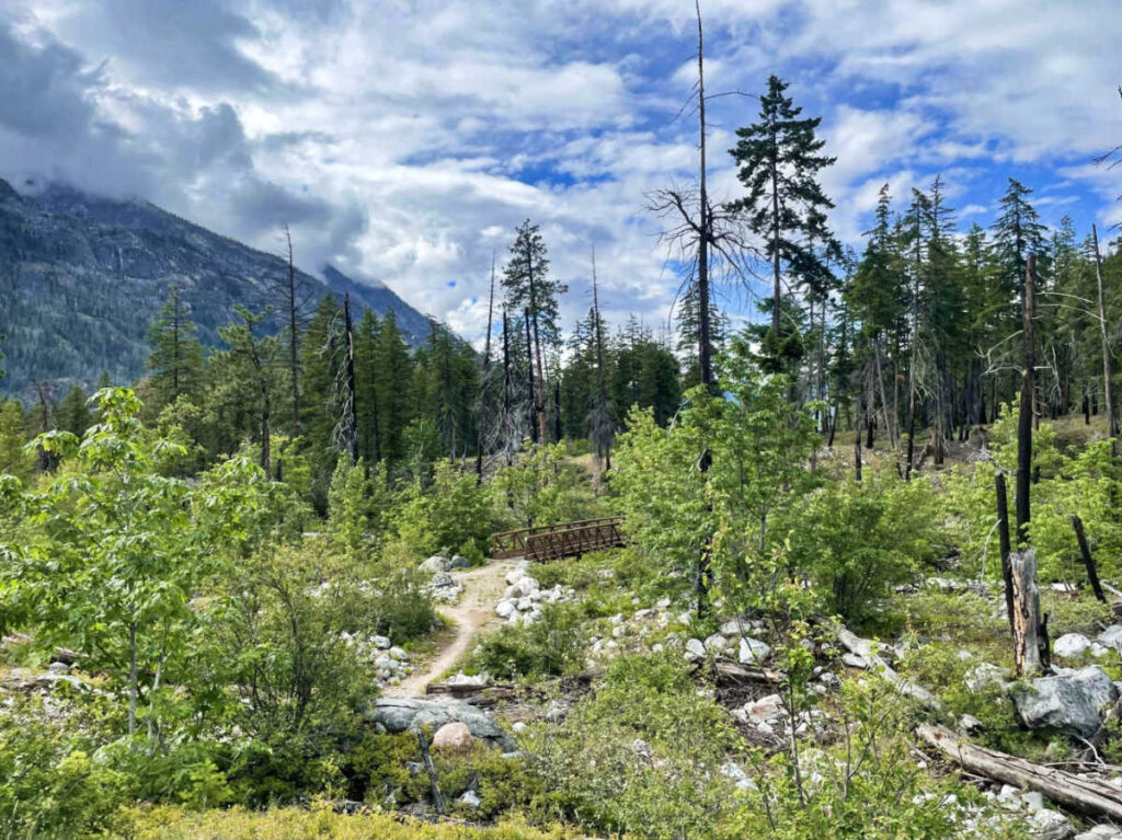 Scenic view of the greenery around the Lakeshore Trail