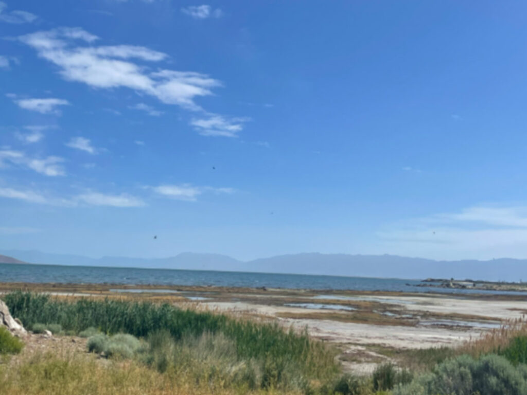 View of Great Salt Lake from the shore