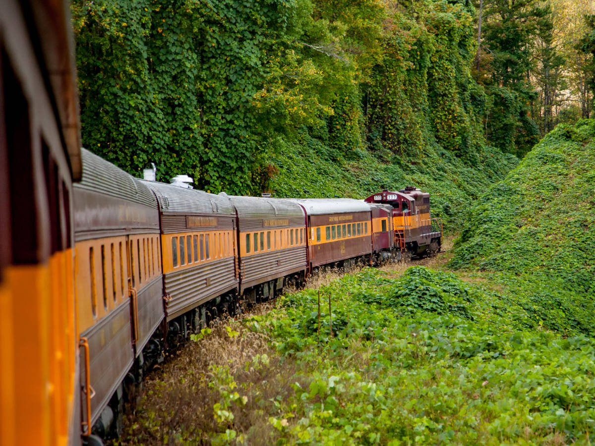 View while riding a train at the Great Smoky Mountains Railroad
