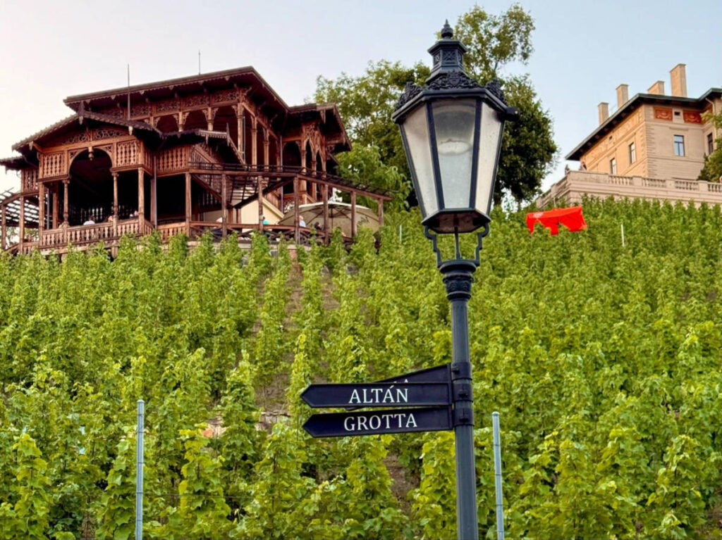 View of the wooden gazebo and the vineyard in Grébovka