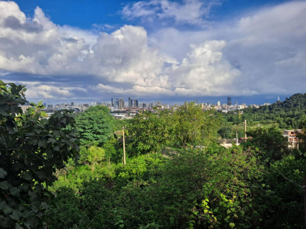 Overlooking view of greenery surroundings in Batumi