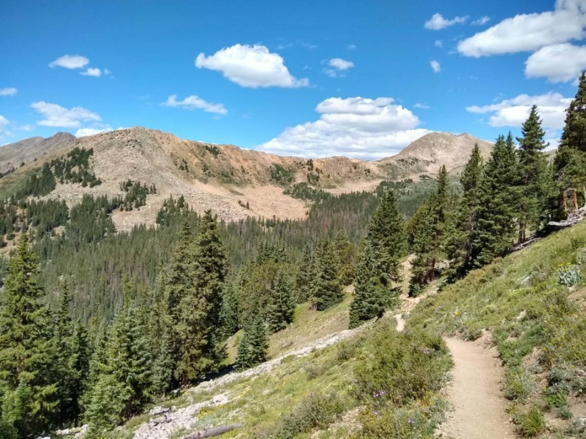 Scenic view of the greenery around The Collegiate Peaks on a sunny day