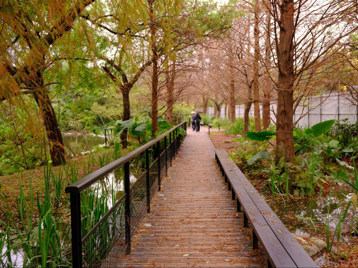 View of a small bridge in Da’an Park