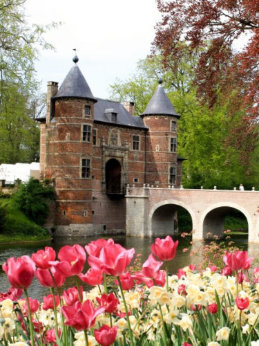 Flowers in full bloom at Groot-Bijgaarden Castle in Belgium