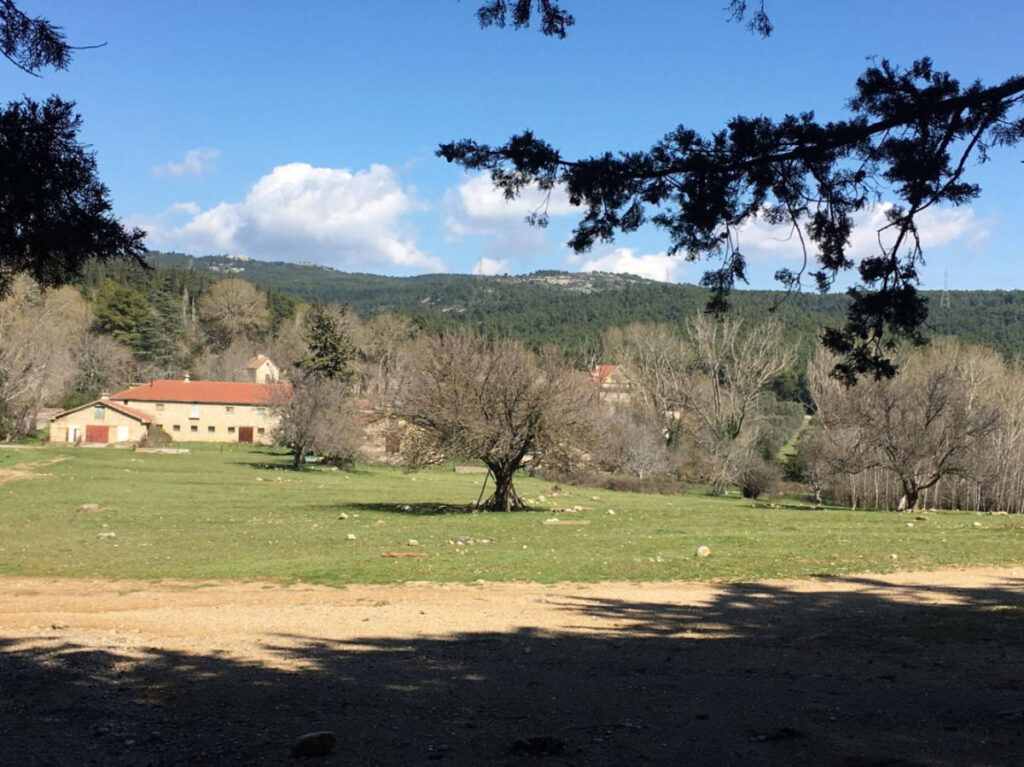 The vast grounds of Tatoi Royal Estate